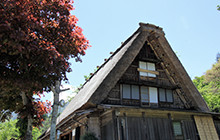 shirakawagou
